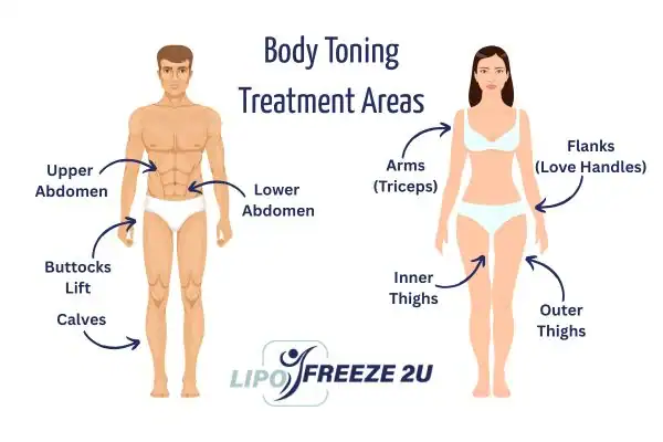Graphic showing where you can have Body toning Treatment Redditch on your body
